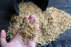 Image rice husk