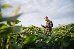 Image Farmers.
