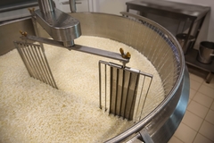 Image Cheesemaking.