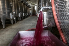 Image pouring wine from a tank