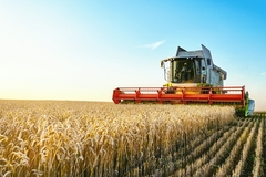 Image A farm.