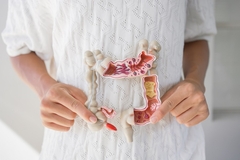 Digestive system