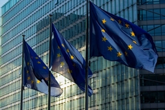 Image eu flags outside parliament building