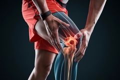 Leg joints x-ray
