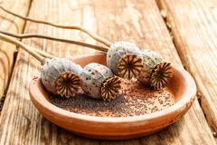 Image Poppy flower seed pods laying on a terra cotta plant saucer