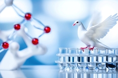 Image white pigeon on glass vials in lab
