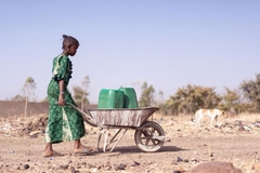 A girl pushing a wheelbarrow with jugs of water in it.