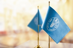 Image FAO flags