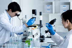 Image Researchers in a lab