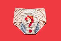Image reusable menstrual underwear
