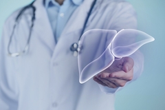 Image Illustration of human liver