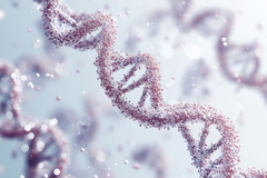 Image DNA helix model