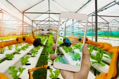 Image a hand holding a digital tablet inside a greenhouse
