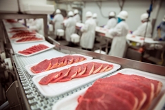 pork chops in meat factory on conveyor belt
