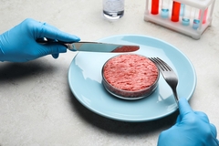 Image a scientist's hand with blue gloves holding a fork over lab meat