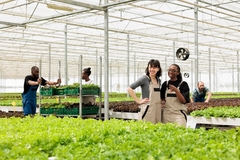 Image diverse women in an organic hydroponic farm talking