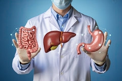 Image Illustration of human digestive system and liver