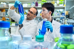 Image Alireza Abbaspourrad, the Yongkeun Joh Associate Professor of Food Chemistry and Ingredient Technology, and Qike Li work in Abbaspourrad’s lab.