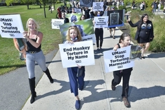 Image Women marching to protest Lacreuse's lab.