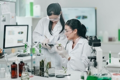 Image Researchers in a lab with botanicals