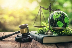 Image Planet earth behind scales on a book, next to law's hammer