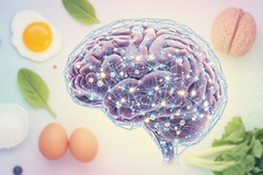 Image Illustration of a human brain