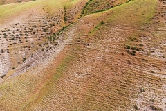 Image dry and cracked soil aerial view