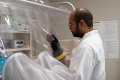 Image Credit: Emily Cook, Michael Smith Laboratories, University of British Columbia
