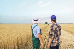 Image Two farmers inspecting crops.