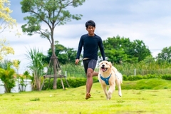 Image A man and has dog running and exercising in a field.