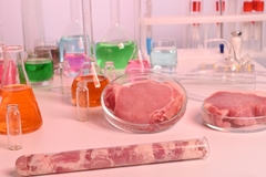 artificial meat samples in culture petridish and test tube