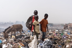 A group of children and donkeys standing in a landfill