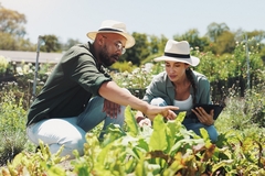 Image farm, tablet, man and woman in hat in field