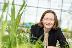 a middle aged woman with tall grass in front of her smiling