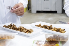 fungi based meat chunks in white rectangular plates with a hand holding fork over them