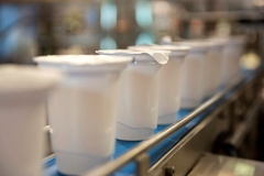 A row of plastic cups with white liquid in them