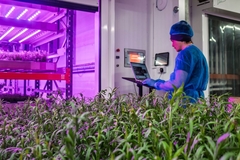 Image Vertical farm growth operator.