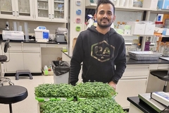 Image researcher smiles in lab in front of table with microgreens