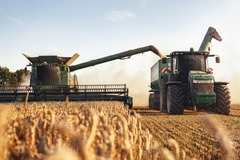 Image Tractor in field.