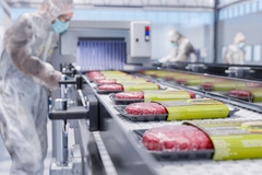 Image Worker in plant-based burger factory
