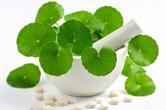 Image Gotu kola extract