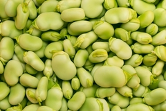Image Faba beans