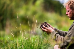 Image man in brown sweater holding soil in his hands