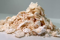 Pyridinedicarboxylate