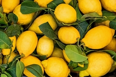 Image Lemons