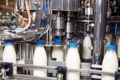 filling plastic bottles with milk in factory