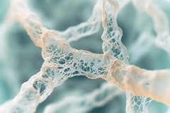 Image Collagen