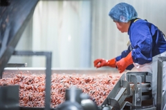 Image Prawn factory.