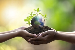 Image Hands holding globe on soil with small plants