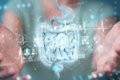 Image Digestive system